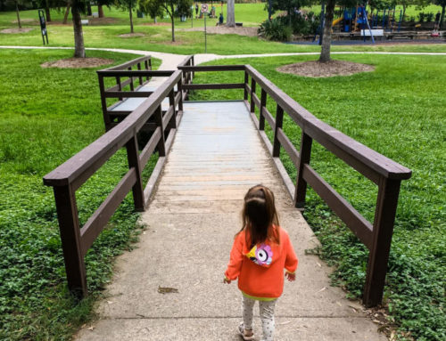 10 Playgrounds in Brisbane to Visit