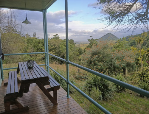 Farmstay in the Noosa Hinterland